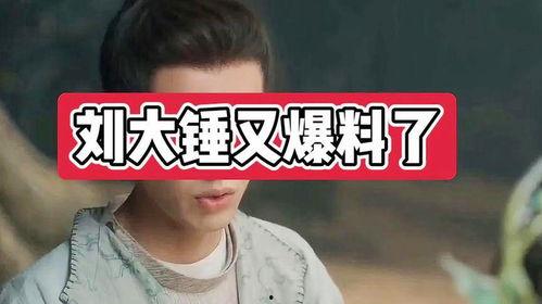 爆料娱乐圈大锤,揭秘明星背后的惊人真相